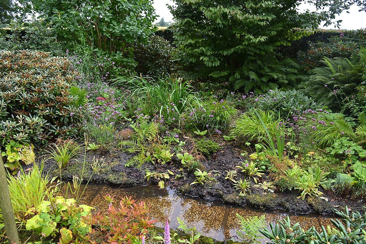 Arboretum Westeresch - Het Tuinpad Op / In Nachbars Garten