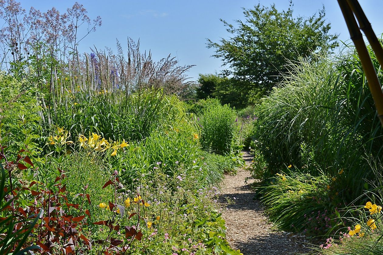 Kwekerij Jacobs - Het Tuinpad Op / In Nachbars Garten