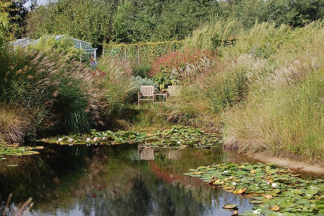 Kwekerij Jacobs - Het Tuinpad Op / In Nachbars Garten