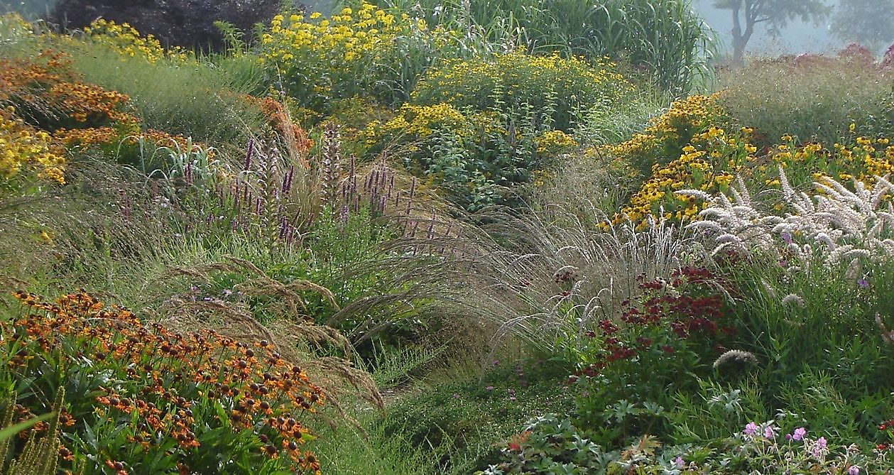 Kwekerij Jacobs - Het Tuinpad Op / In Nachbars Garten