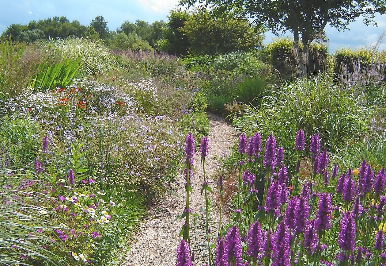 Kwekerij Jacobs - Het Tuinpad Op / In Nachbars Garten