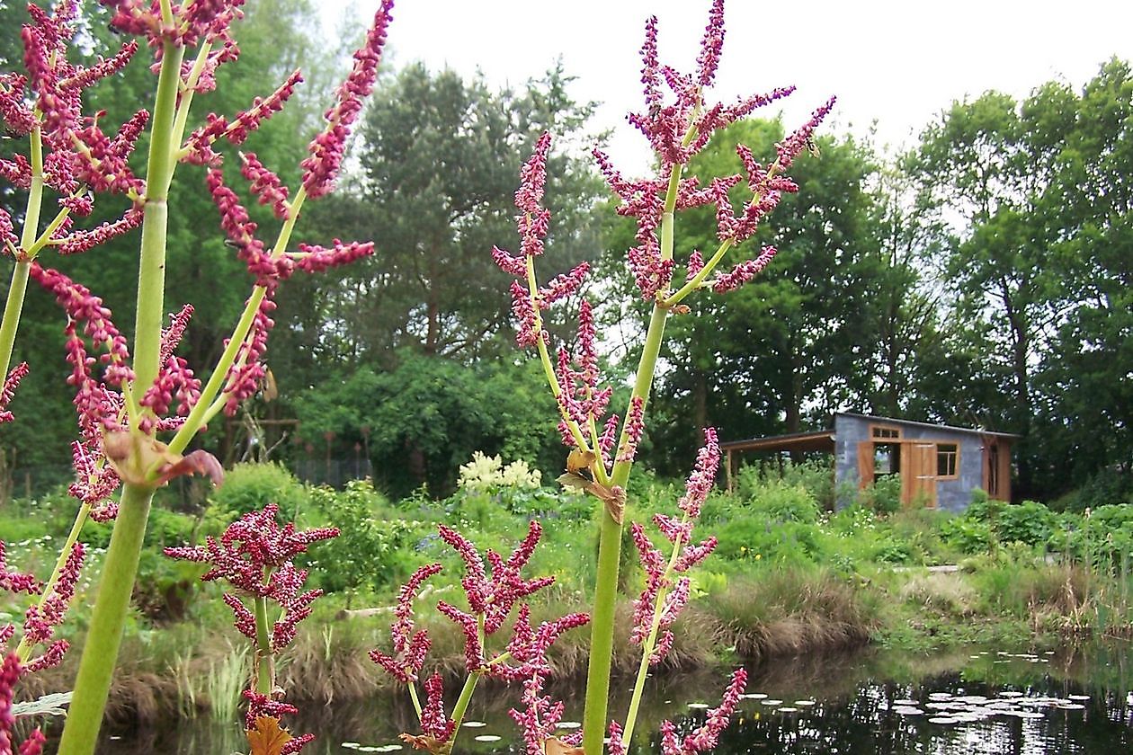 Jan Wilde een Tuin - Het Tuinpad Op / In Nachbars Garten