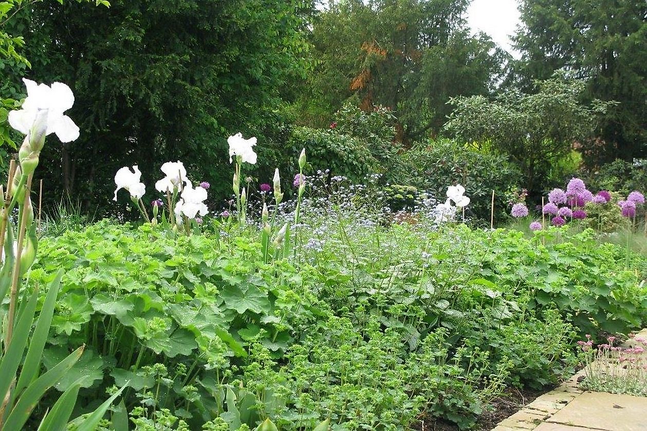 Tuin Stolle - Het Tuinpad Op / In Nachbars Garten