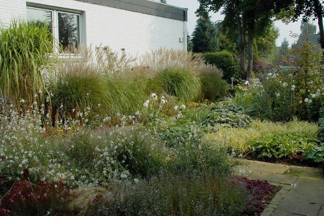 Tuin Stolle - Het Tuinpad Op / In Nachbars Garten