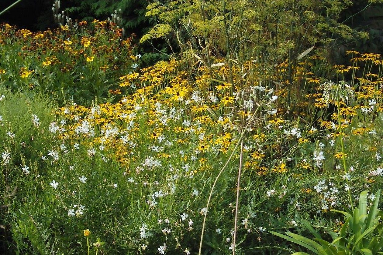 Tuin Stolle - Het Tuinpad Op / In Nachbars Garten