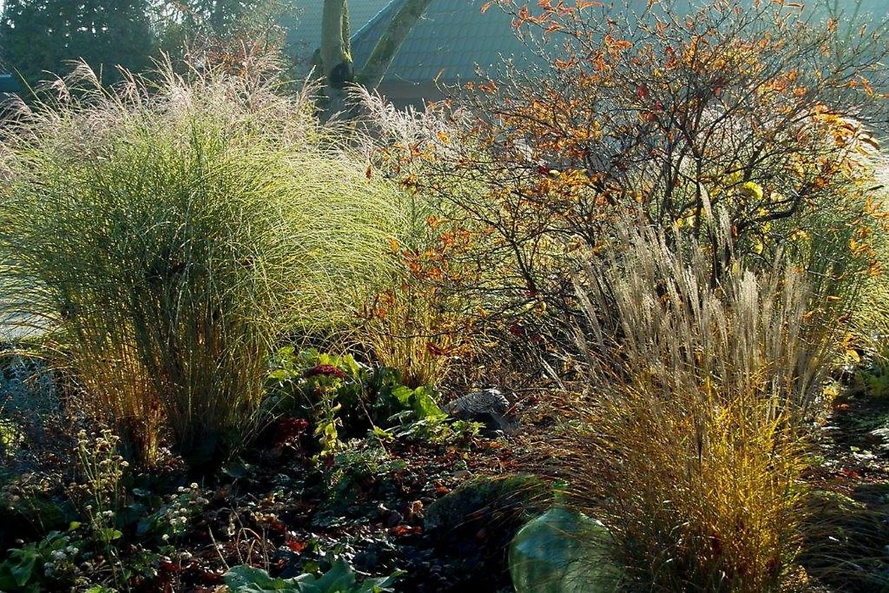 Tuin Stolle - Het Tuinpad Op / In Nachbars Garten