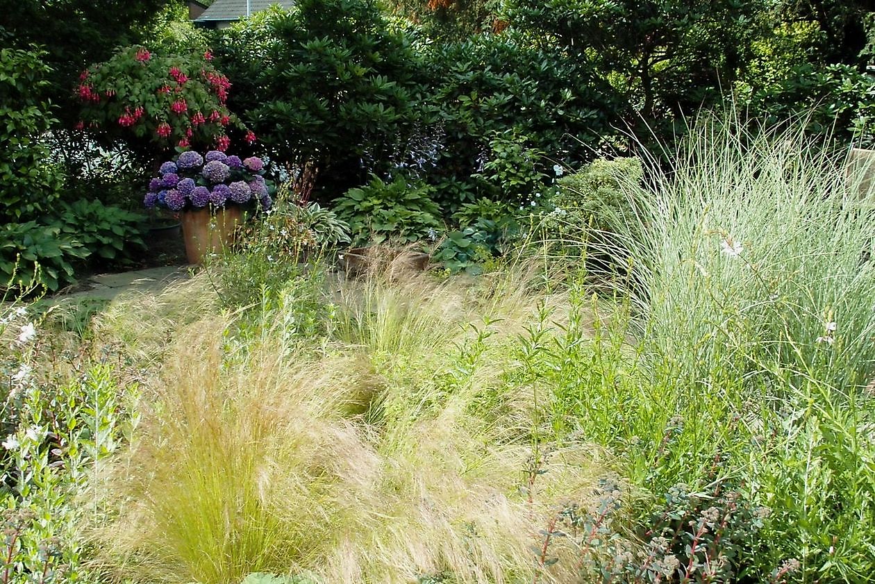 Tuin Stolle - Het Tuinpad Op / In Nachbars Garten