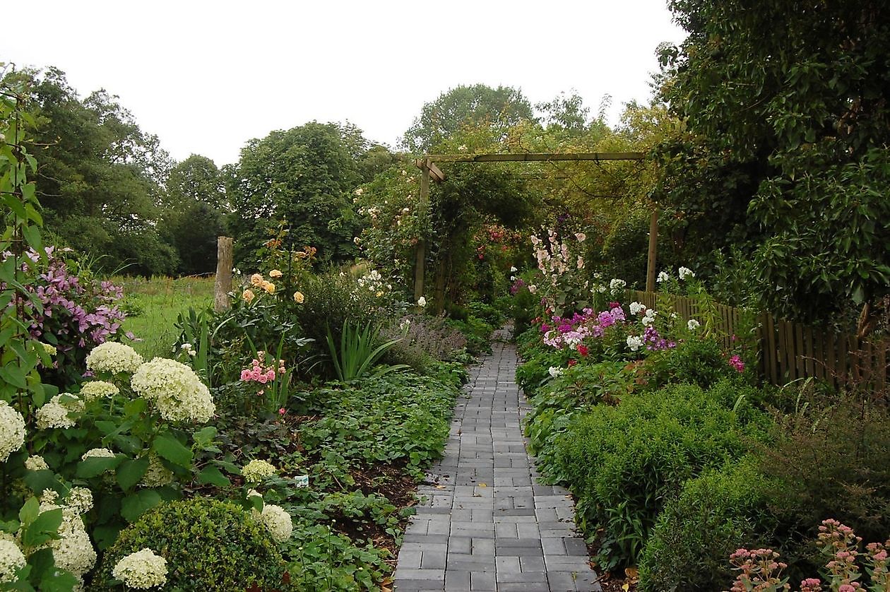 Tuin Simon - Het Tuinpad Op / In Nachbars Garten