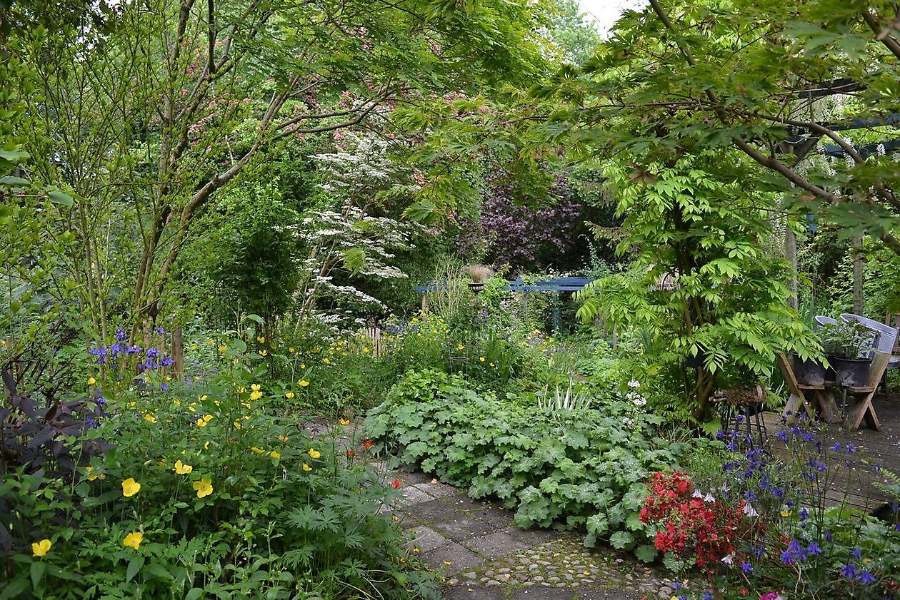 Wubsbos - Het Tuinpad Op / In Nachbars Garten