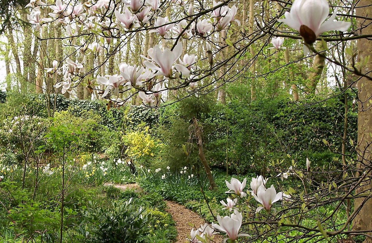 Wubsbos - Het Tuinpad Op / In Nachbars Garten