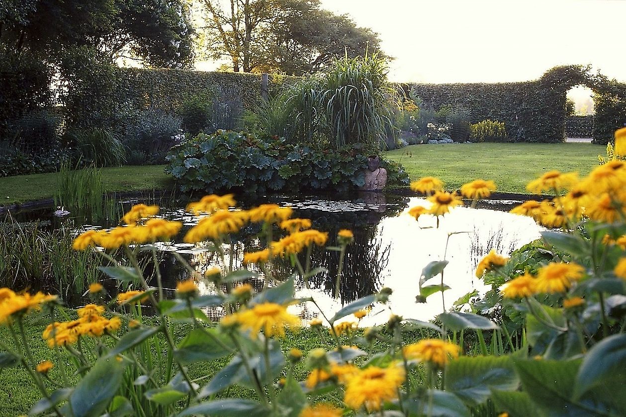 Tuin Chris Bruinsma - Het Tuinpad Op / In Nachbars Garten