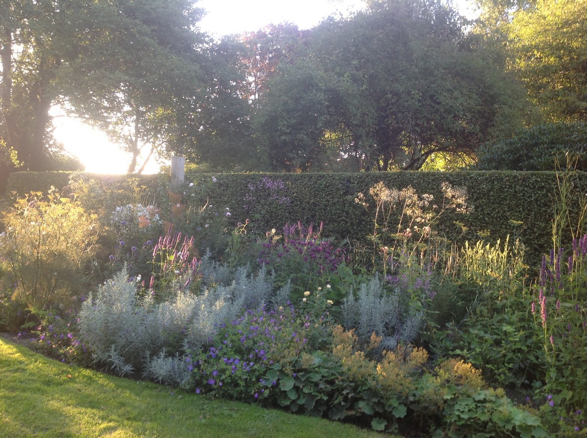 Tuin Chris Bruinsma - Het Tuinpad Op / In Nachbars Garten