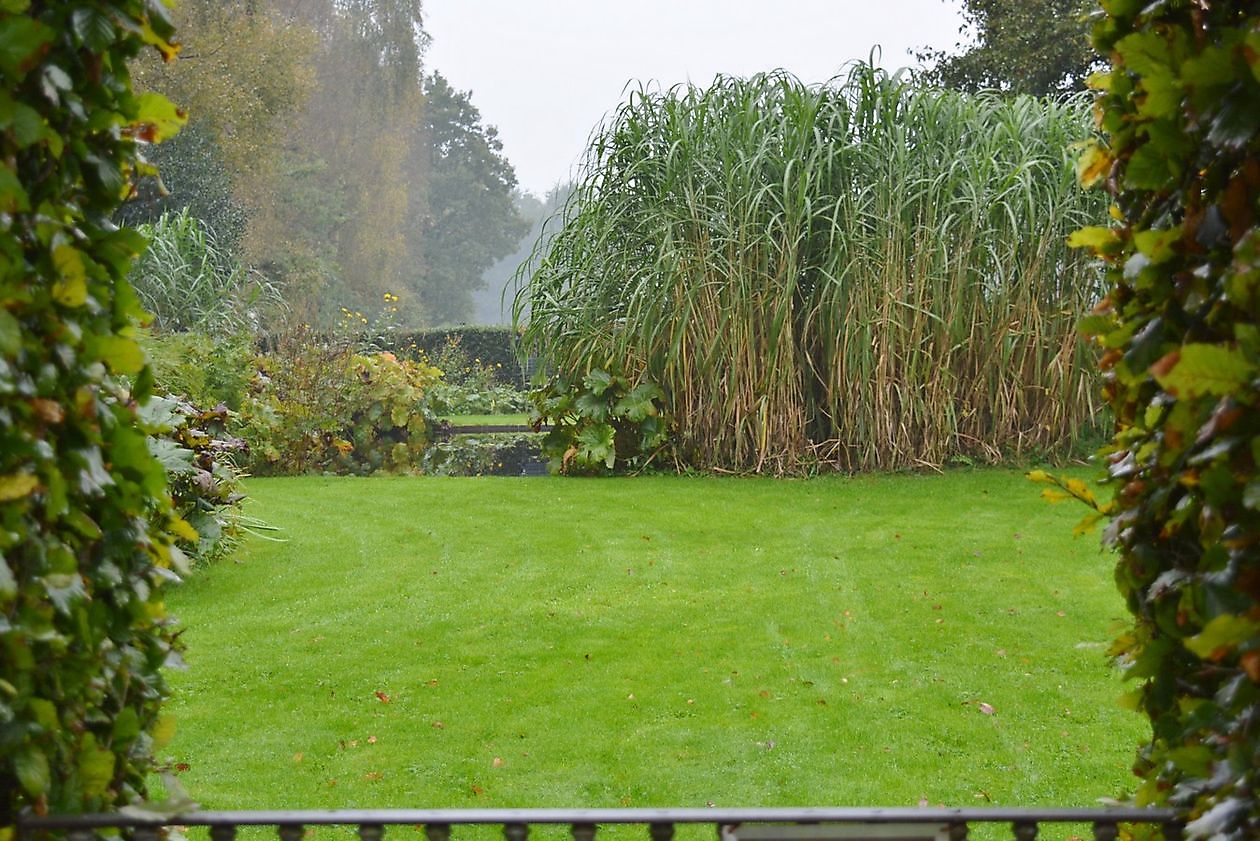 Tuin Chris Bruinsma - Het Tuinpad Op / In Nachbars Garten