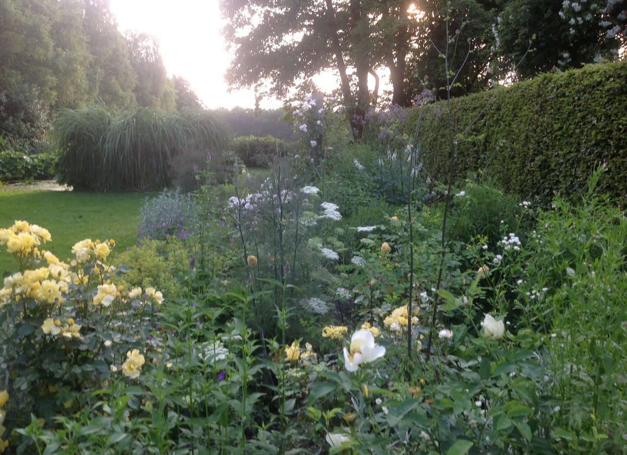 Tuin Chris Bruinsma - Het Tuinpad Op / In Nachbars Garten