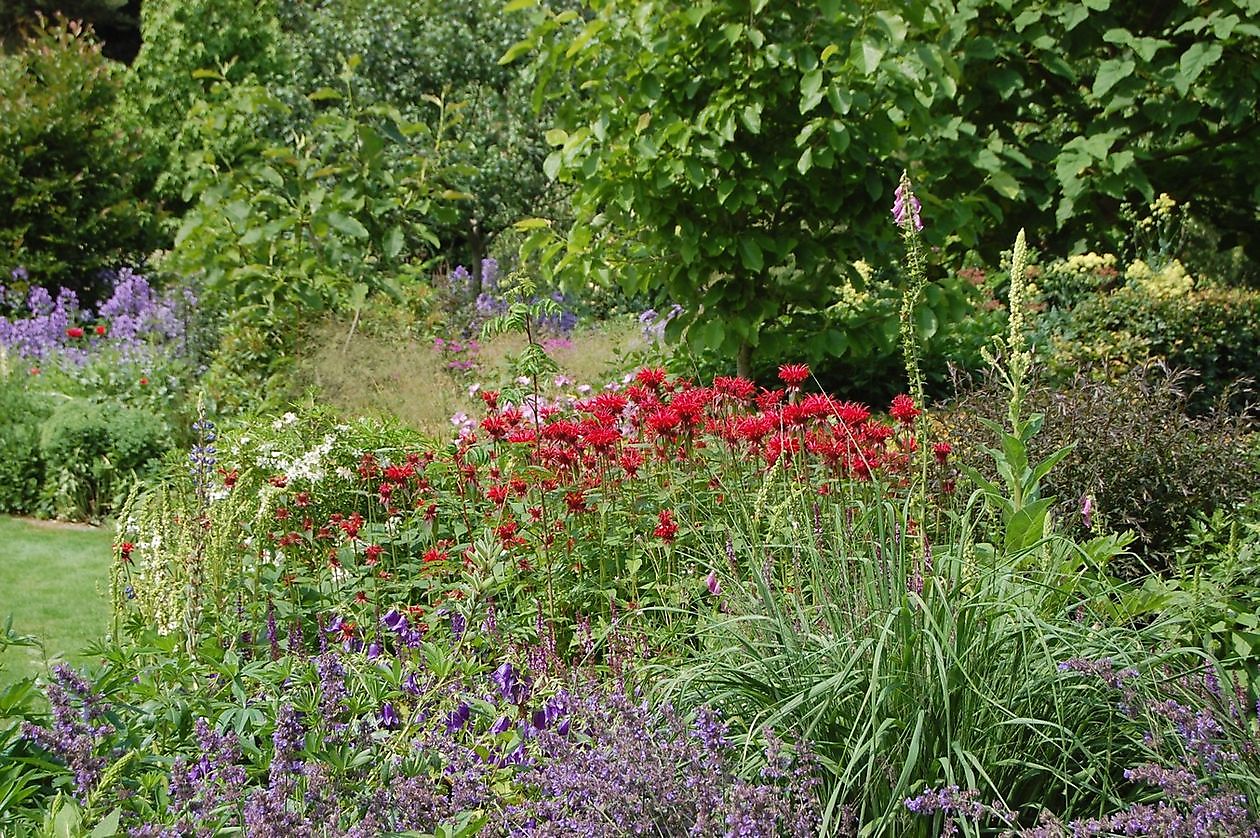 Tuindoenerij ‘t Vlijtig Loesje - Het Tuinpad Op / In Nachbars Garten