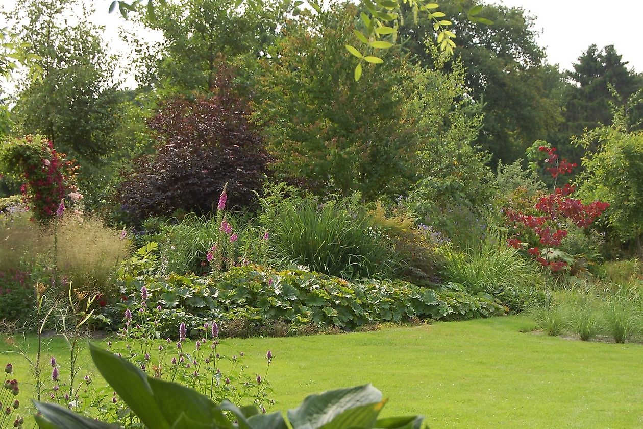 Tuindoenerij ‘t Vlijtig Loesje - Het Tuinpad Op / In Nachbars Garten