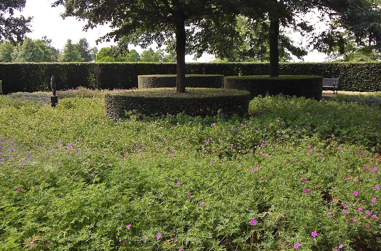  - Het Tuinpad Op / In Nachbars Garten