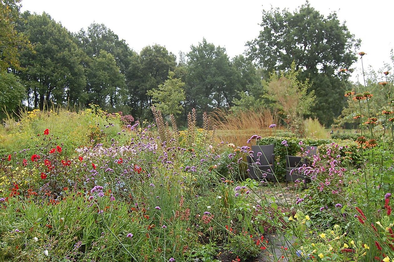 Roos van Hijken - Het Tuinpad Op / In Nachbars Garten