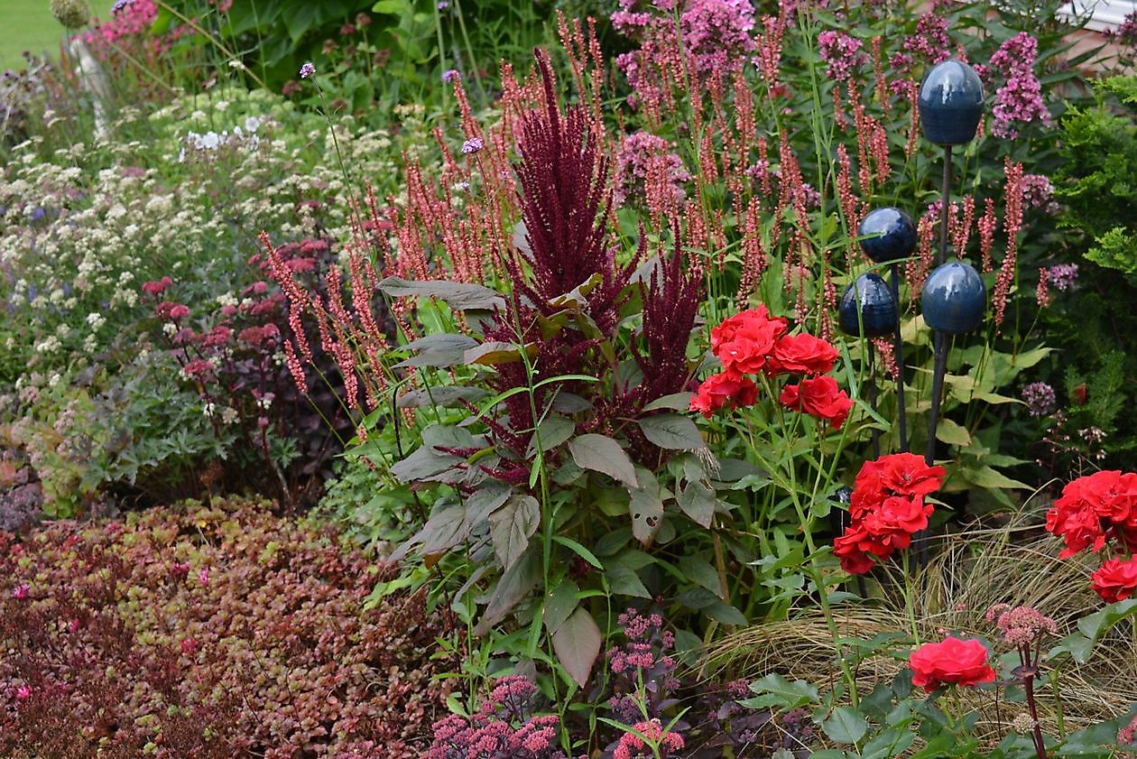 Vechtetaltuin - Het Tuinpad Op / In Nachbars Garten