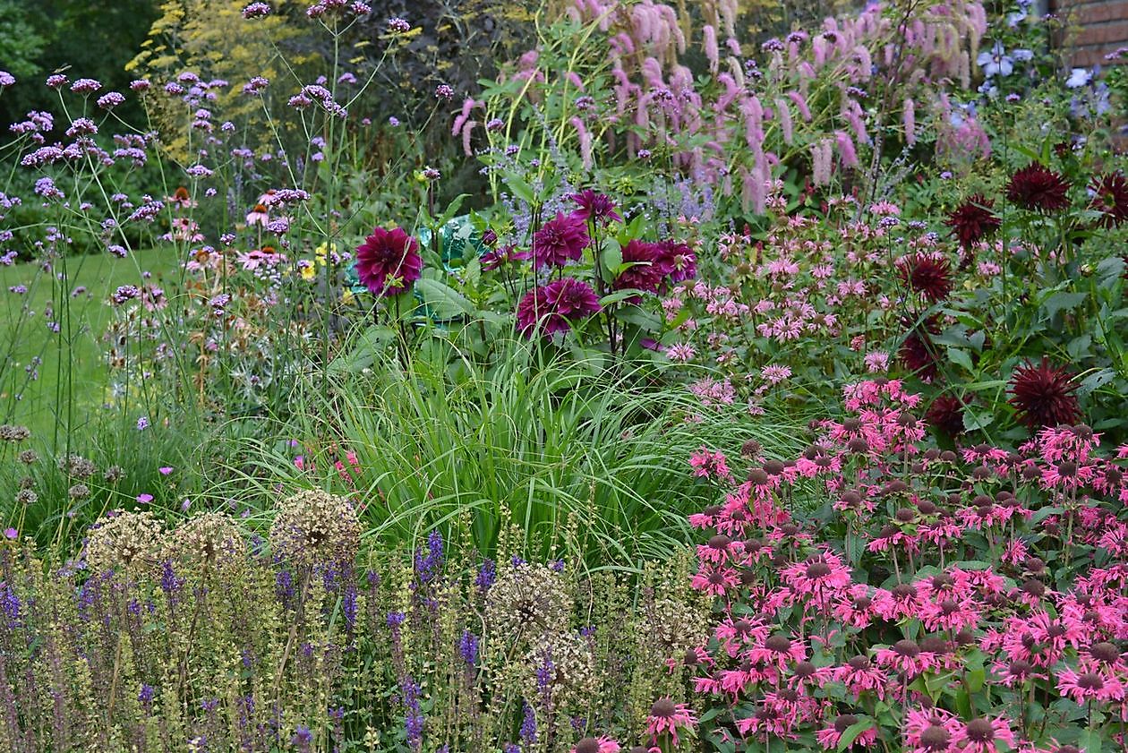 Vechtetaltuin - Het Tuinpad Op / In Nachbars Garten