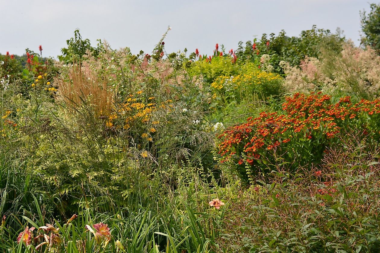 Vechtetaltuin - Het Tuinpad Op / In Nachbars Garten