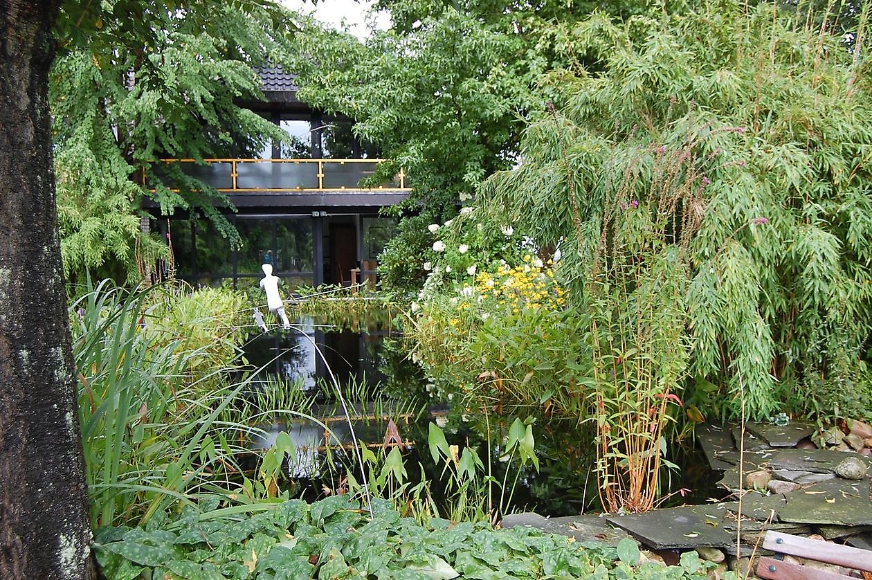 Wassergarten - Het Tuinpad Op / In Nachbars Garten