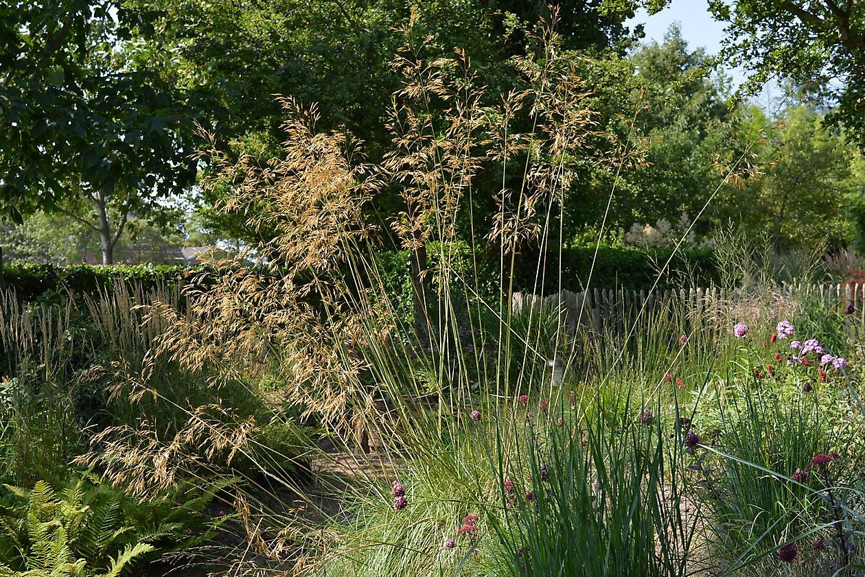 Kwekerij en Kijktuin Aan de Dijk - Het Tuinpad Op / In Nachbars Garten