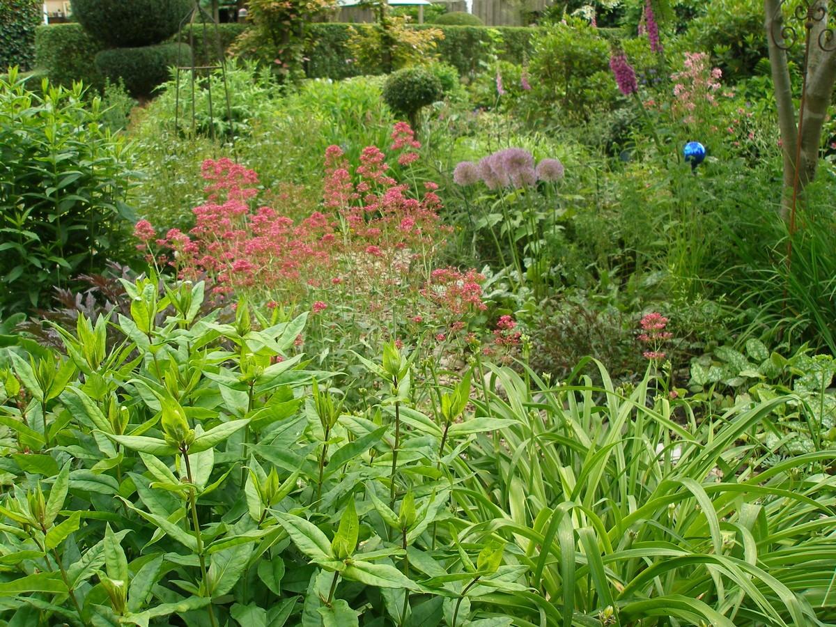 Arns Gartenidylle - Het Tuinpad Op / In Nachbars Garten