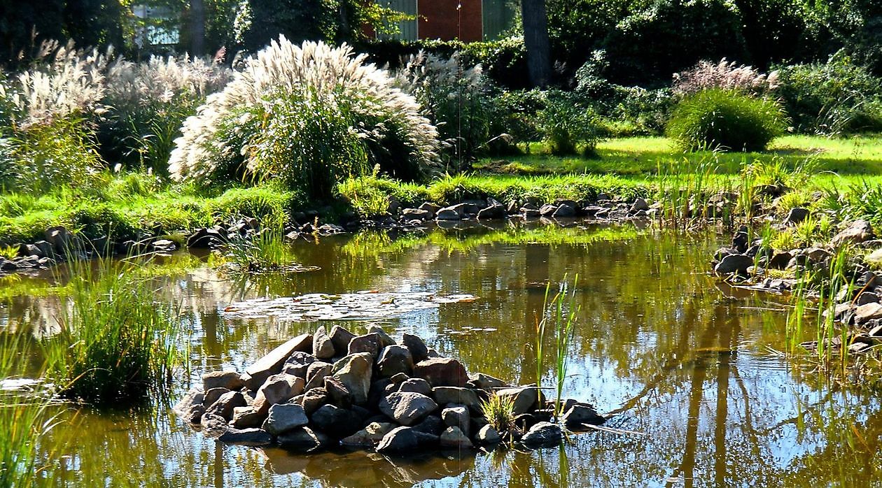 Bürgergarten Pagels/Ernst Pagels Garten - Het Tuinpad Op / In Nachbars Garten