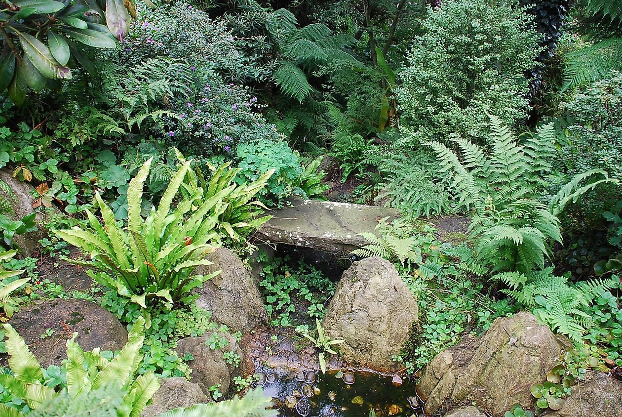 Garten der Stille - Het Tuinpad Op / In Nachbars Garten
