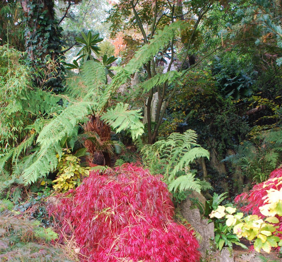 Garten der Stille - Het Tuinpad Op / In Nachbars Garten