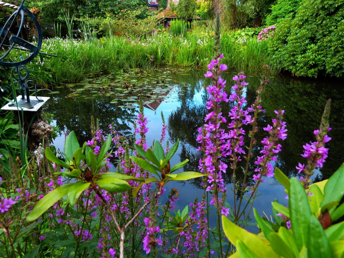 Naturgarten Naschke - Het Tuinpad Op / In Nachbars Garten