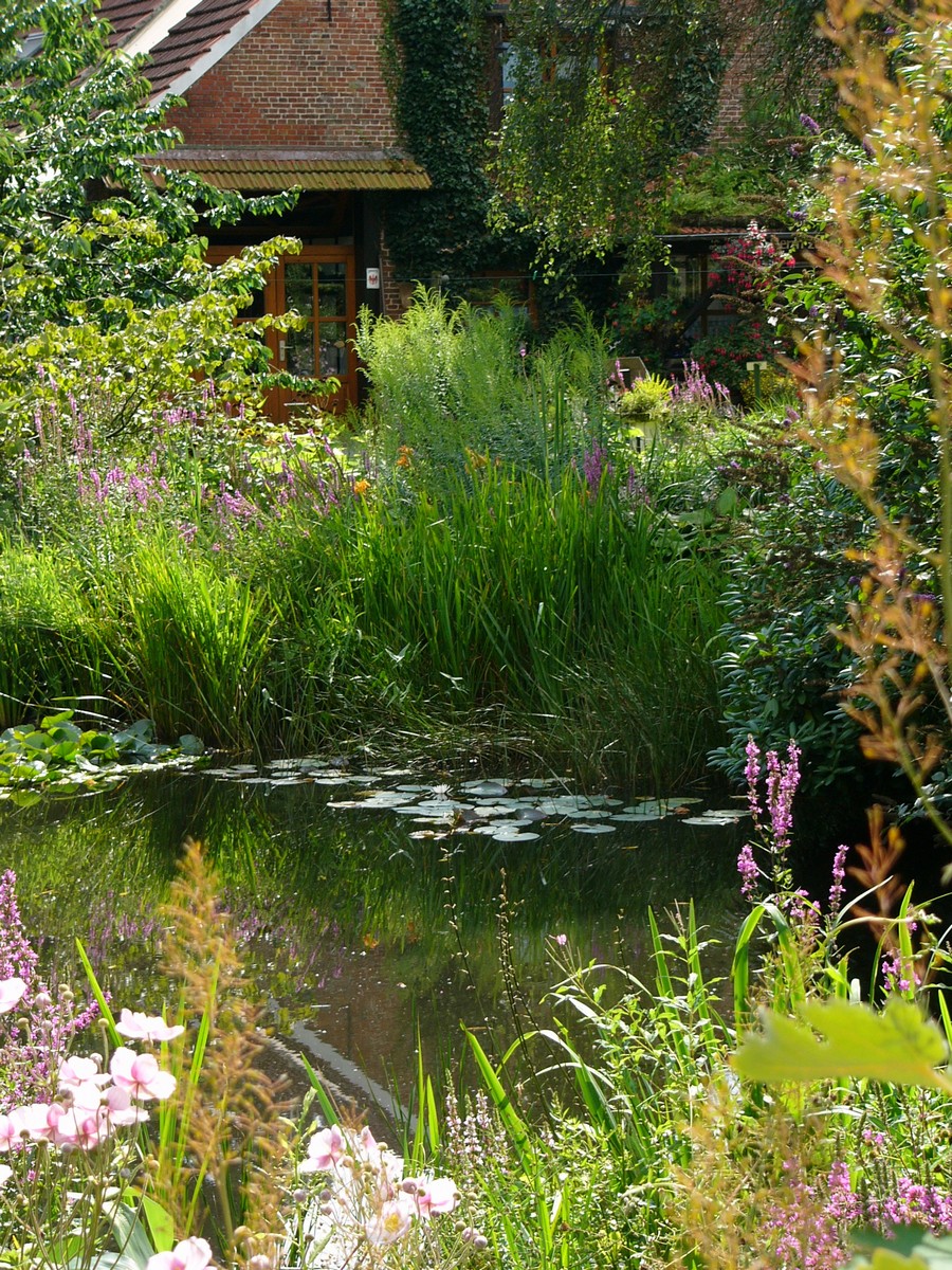 Naturgarten Naschke - Het Tuinpad Op / In Nachbars Garten