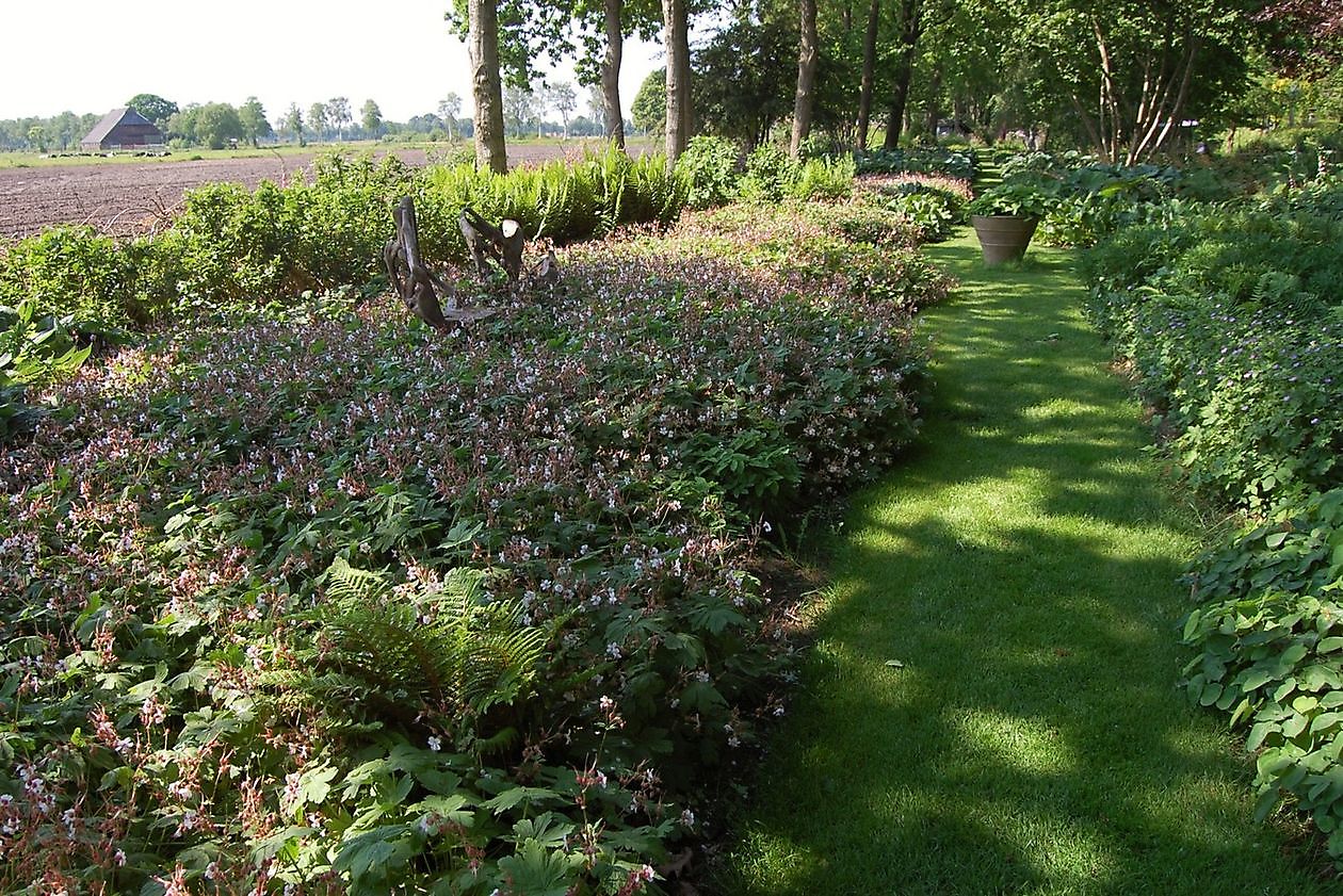 De Luie Tuinman - Het Tuinpad Op / In Nachbars Garten