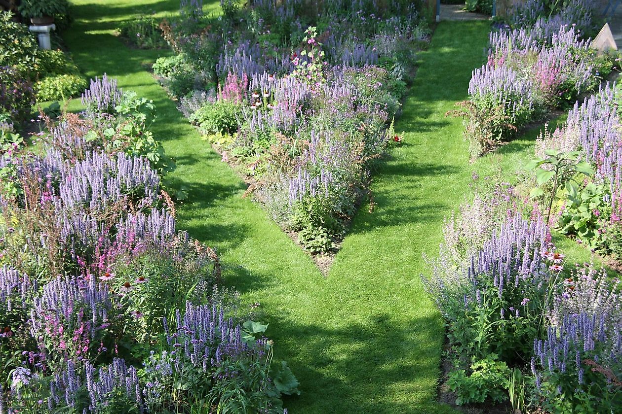 De Luie Tuinman - Het Tuinpad Op / In Nachbars Garten