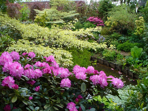  - Het Tuinpad Op / In Nachbars Garten