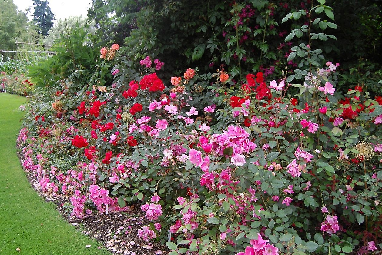 The Stonefarm - Het Tuinpad Op / In Nachbars Garten