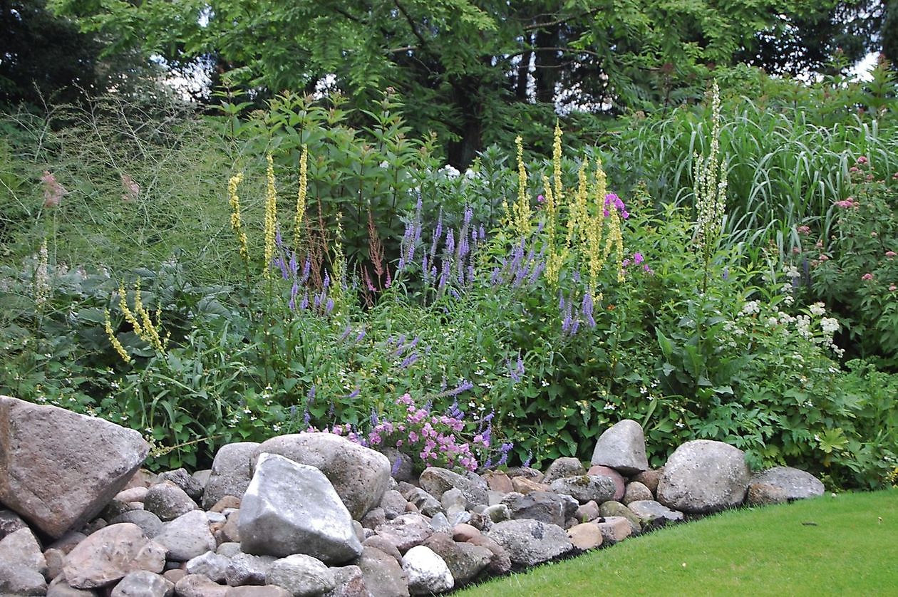 The Stonefarm - Het Tuinpad Op / In Nachbars Garten