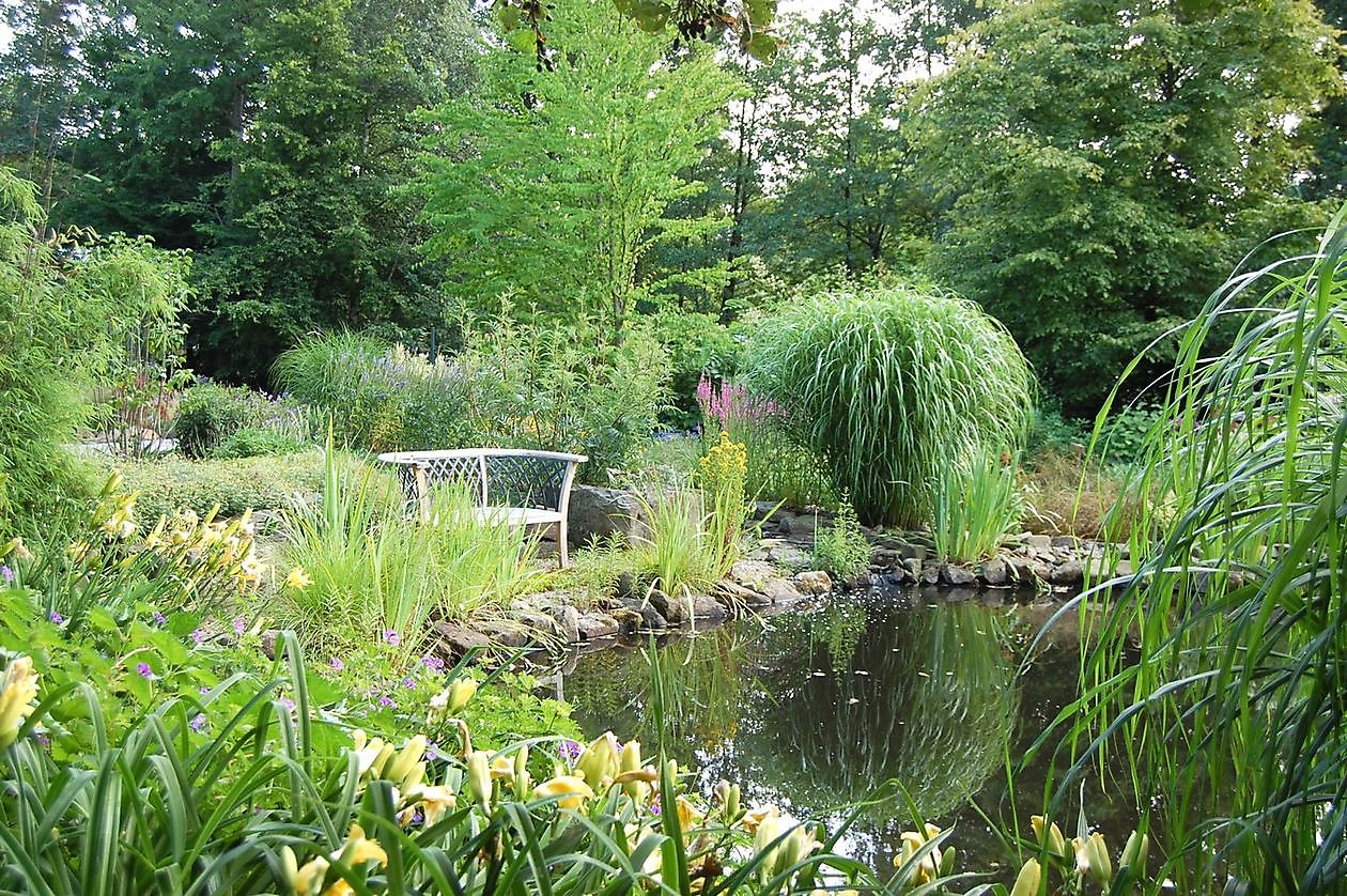 Kwekerij Mühring - Het Tuinpad Op / In Nachbars Garten