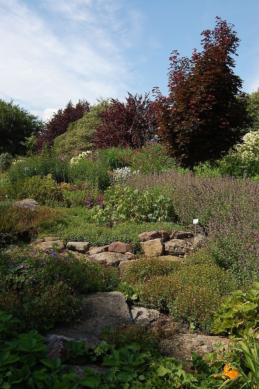 Kwekerij Mühring - Het Tuinpad Op / In Nachbars Garten