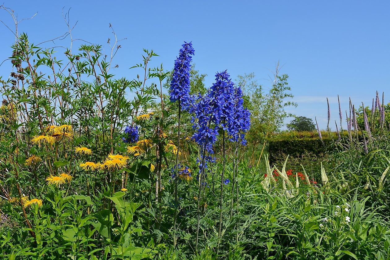 Kwekerij Jacobs - Het Tuinpad Op / In Nachbars Garten