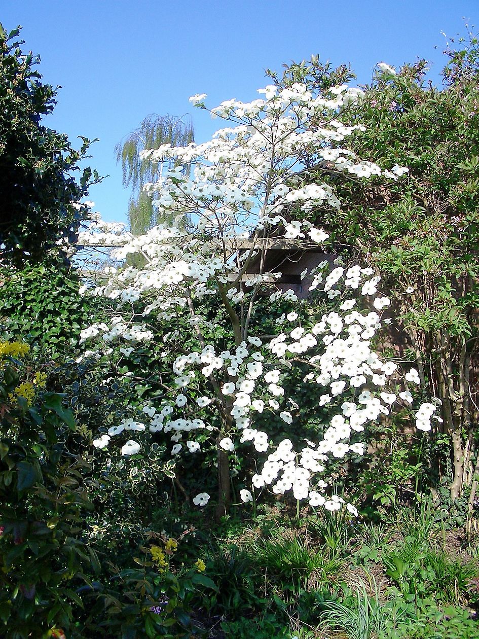 Christa Welling - Het Tuinpad Op / In Nachbars Garten