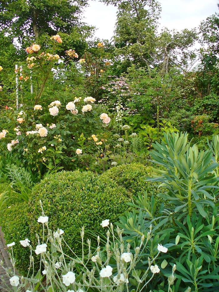  - Het Tuinpad Op / In Nachbars Garten