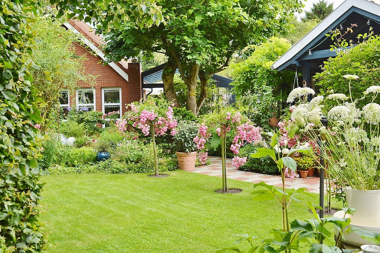 Moorjuwel - Het Tuinpad Op / In Nachbars Garten