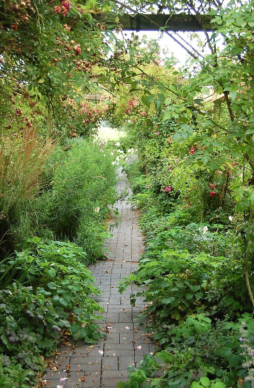 Tuin Simon - Het Tuinpad Op / In Nachbars Garten