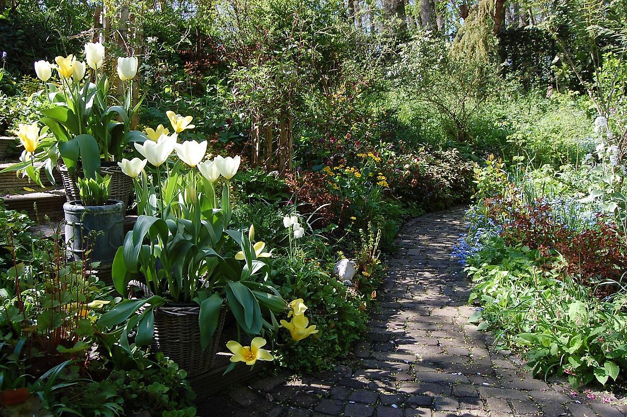 Wubsbos - Het Tuinpad Op / In Nachbars Garten