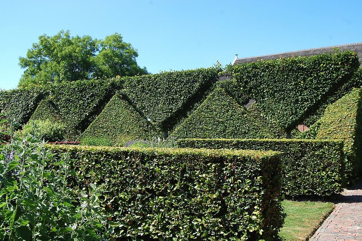 Tuin Annie-Evie Beukema & Wim Pastoor - Het Tuinpad Op / In Nachbars Garten