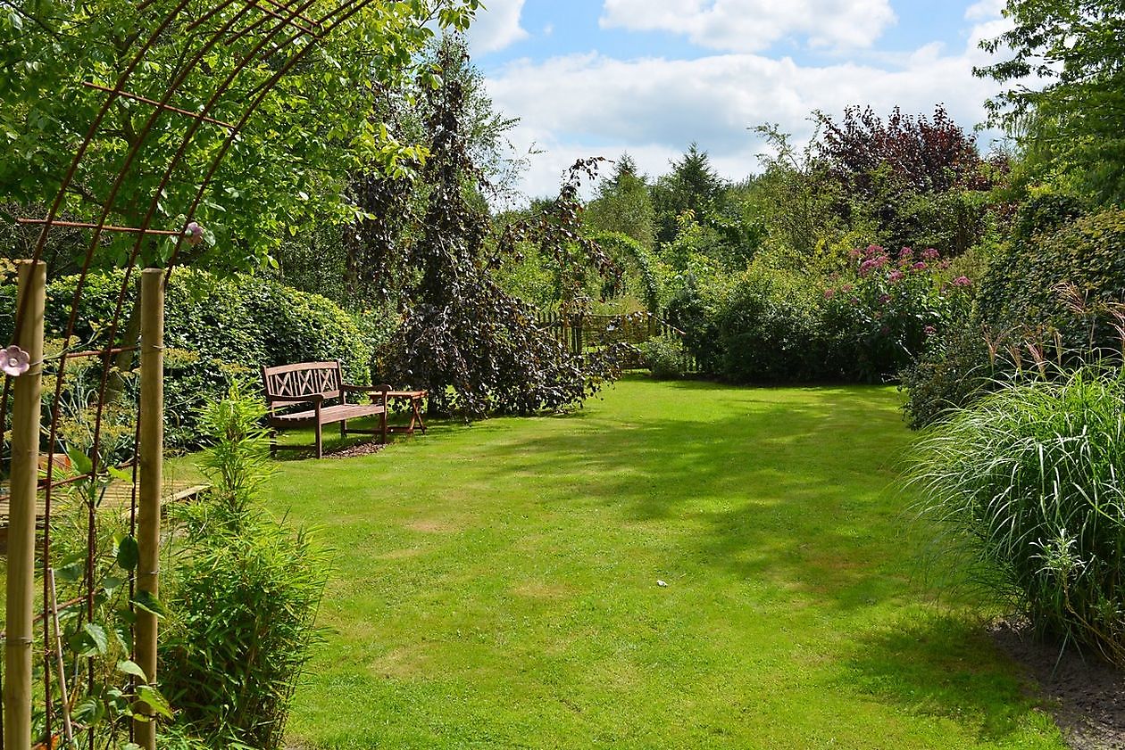 Omartinas Tuin - Het Tuinpad Op / In Nachbars Garten