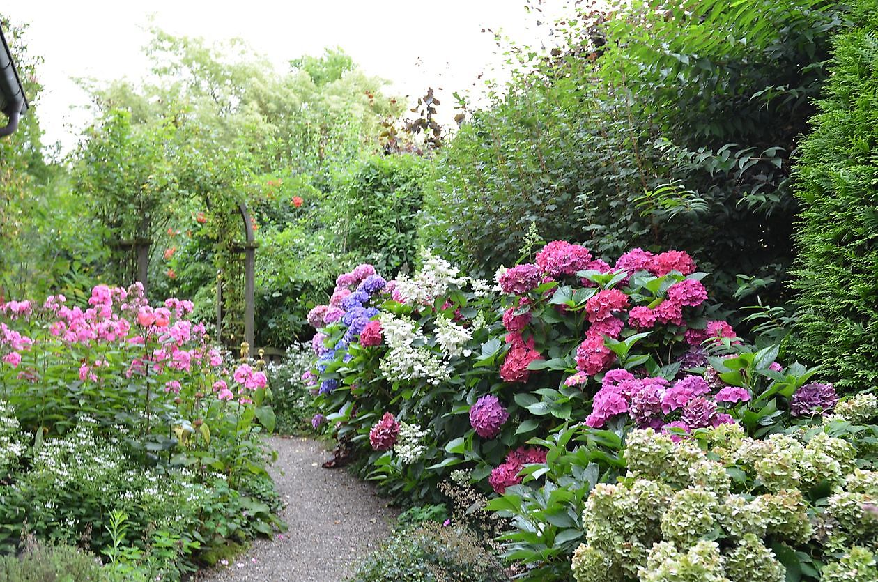 Spetzer Tuun - Het Tuinpad Op / In Nachbars Garten