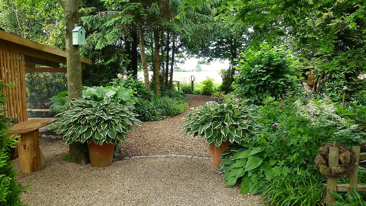 Spetzer Tuun - Het Tuinpad Op / In Nachbars Garten